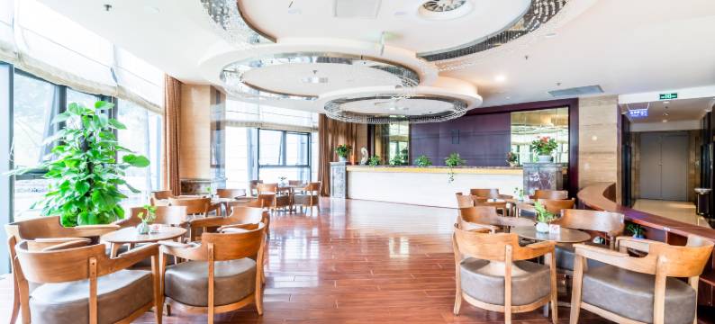 成都空港悦享酒店(双流机场店)图片