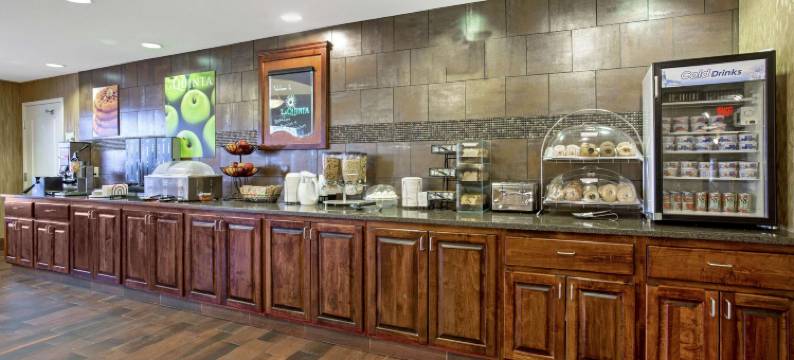 迪金森拉昆塔温德姆套房酒店(La Quinta Inn & Suites by Wyndham Dickinson)图片