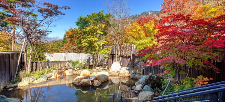 奧飛騨溫泉 深山桜庵(Miyama Ouan)图片