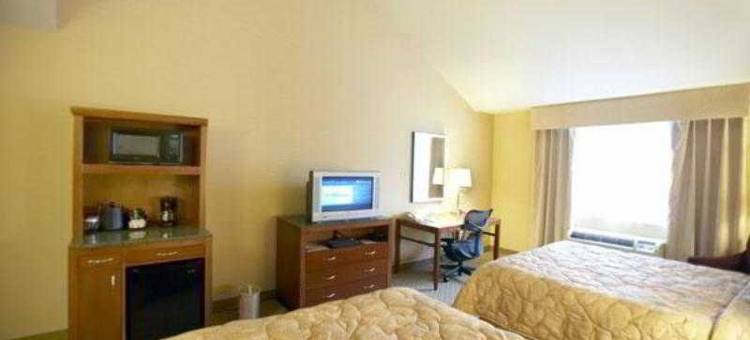 瓦伦西亚六旗希尔顿花园酒店(Hilton Garden Inn Valencia at Six Flags)图片