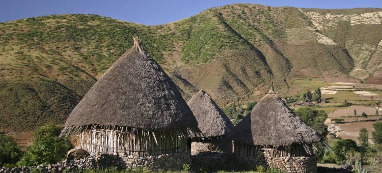 喜来登亚迪斯豪华精选酒店 - 亚的斯亚贝巴(Sheraton Addis, a Luxury Collection Hotel, Addis Ababa)图片