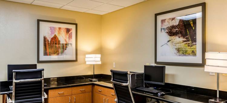 锡达福尔斯滑铁卢智选假日套房酒店(Holiday Inn Express & Suites Cedar Falls - Waterloo)图片