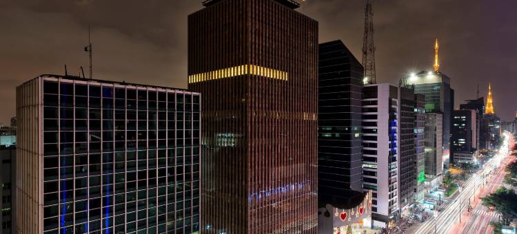 美利亚保利斯塔酒店(Meliá Paulista)图片