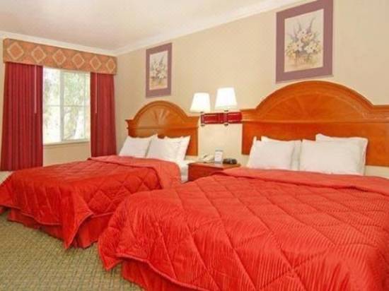 Comfort Inn Los Angeles Near Hollywood Hotel Reviews And Room Rates