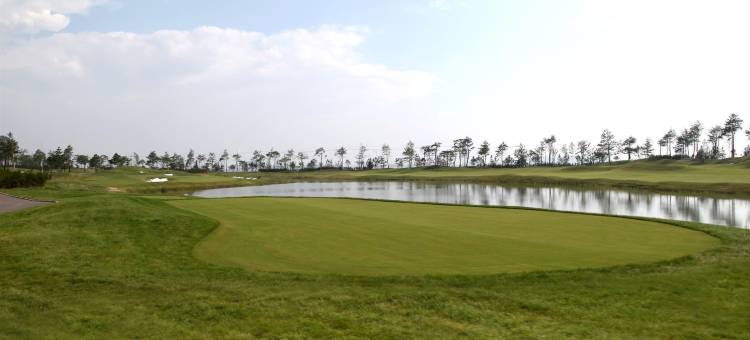 仁川喜来登大酒店(Sheraton Grand Incheon Hotel)图片