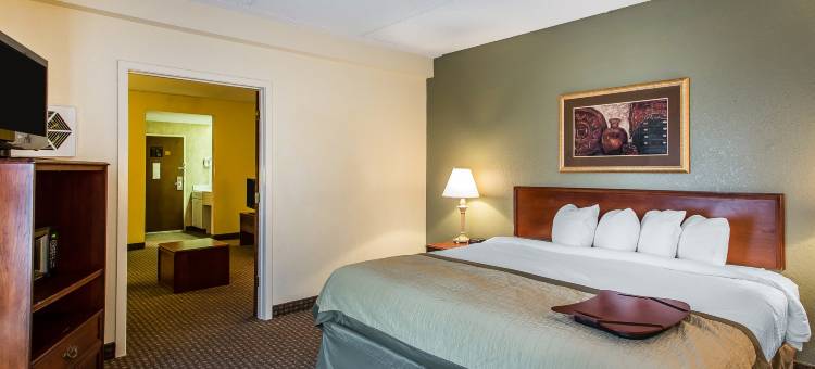 诺克斯维尔西舒眠套房酒店(Sleep Inn & Suites West Knoxville)图片