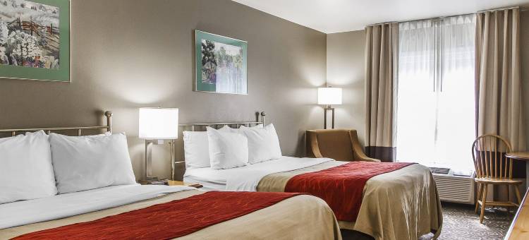 布伦瑞克舒适酒店(Comfort Inn Brunswick)图片