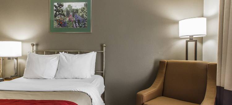 布伦瑞克舒适酒店(Comfort Inn Brunswick)图片