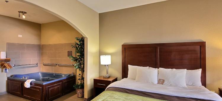 舒适酒店-爱丁堡南(Comfort Inn Edinburg South)图片