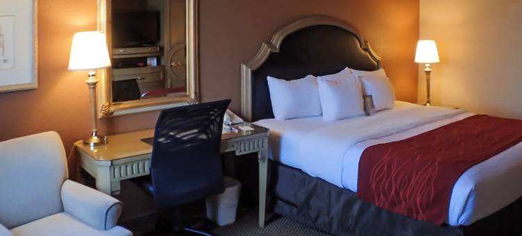 凯艺套房酒店(Quality Inn & Suites)图片