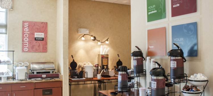 大学舒适酒店(Comfort Inn University)图片