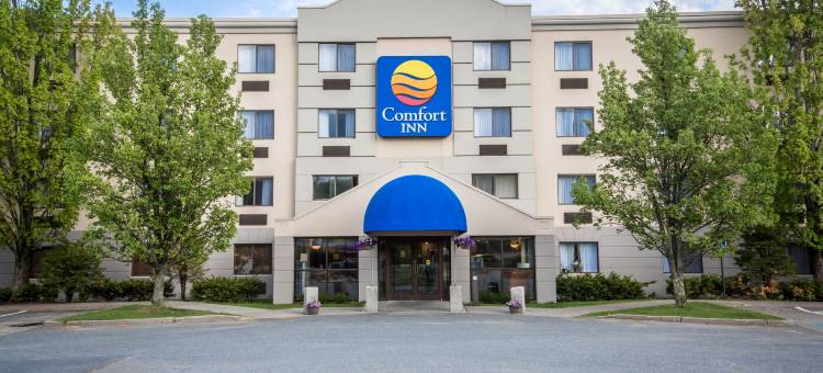 舒适酒店(Comfort Inn)图片