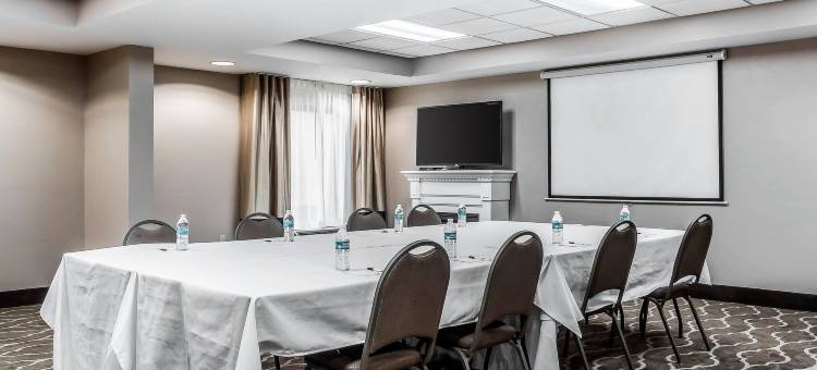 舒适套房酒店-塔拉哈西市区(Comfort Suites Tallahassee Downtown)图片