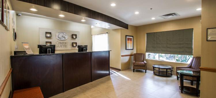近奥兰多环球影城舒适套房酒店(Comfort Suites Near Universal Orlando Resort)图片