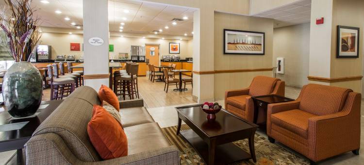 近奥兰多环球影城舒适套房酒店(Comfort Suites Near Universal Orlando Resort)图片