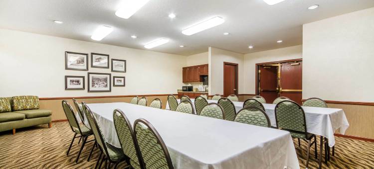 舒适套房酒店(Comfort Suites)图片