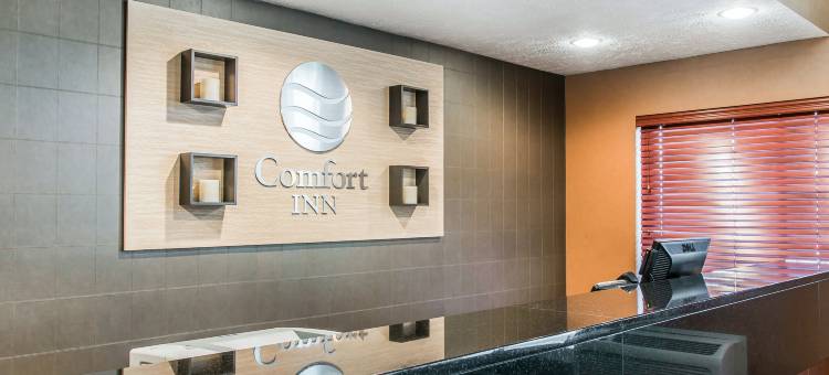 特拉弗斯城舒适酒店(Comfort Inn Traverse City)图片