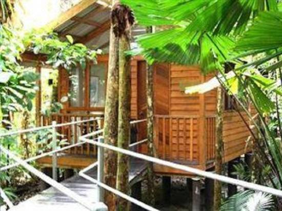 Daintree Wilderness Lodge Hotel Reviews And Room Rates Trip Com