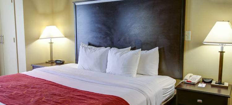 老城斯普林舒适全套房酒店(Comfort Suites Old Town Spring)图片