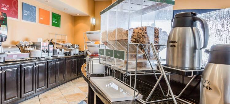 佩尔城靠近洛根马丁湖的康福特套房(Comfort Suites Pell City Near Logan Martin Lake)图片