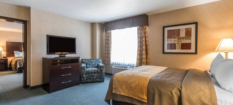 科尔顿舒适套房酒店(Comfort Inn & Suites)图片