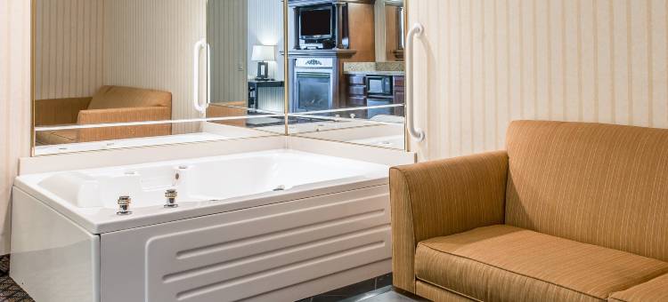 艾伦帕克/迪尔伯恩舒适套房酒店(Comfort Inn & Suites Allen Park - Dearborn)图片