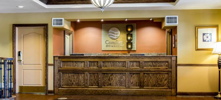 舒适套房酒店(Comfort Inn & Suites)图片