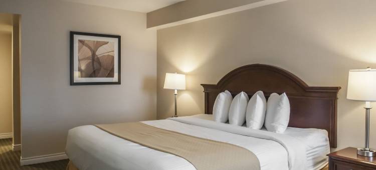 希尔顿多伦多米西索加 Spark(Spark by Hilton Toronto Mississauga)图片