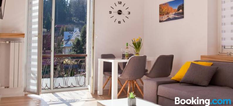 Apartament City Center Platinum - Luxury Standard图片