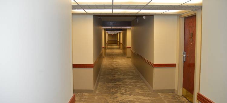 森林公园酒店(Forest Park Hotel)图片