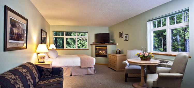 图芬诺泽德酒店(Hotel Zed Tofino)图片