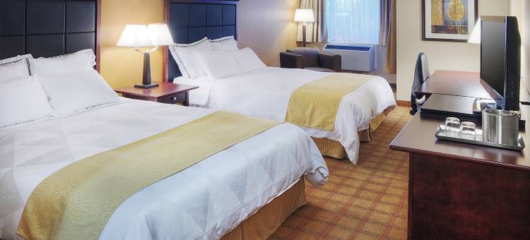 渥太华市区国会山假日酒店(Holiday Inn Ottawa Dwtn - Parliament Hill)图片