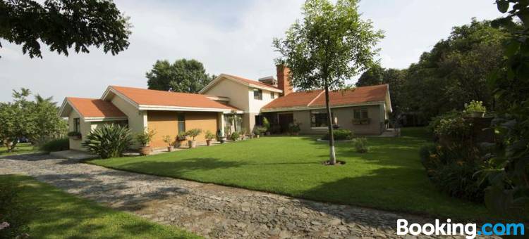 La Casita de Fraida图片