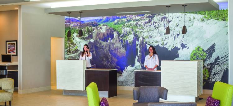 锡达城拉昆塔温德姆套房酒店(La Quinta Inn & Suites by Wyndham Cedar City)图片