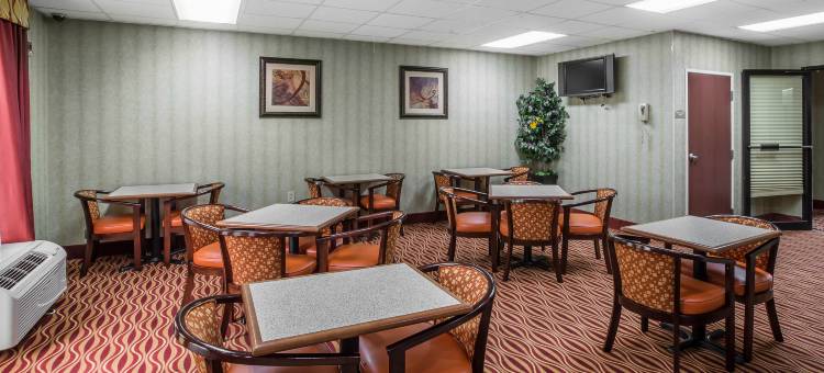 舒适套房酒店(Comfort Inn & Suites)图片