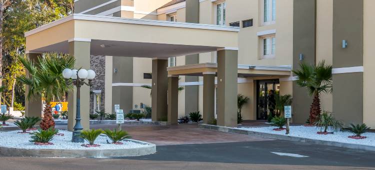 奥格尔索普套房酒店(Comfort Inn)图片