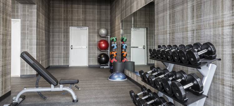 波士顿埃弗里特展望酒店(EnVision Hotel Boston-Everett)图片