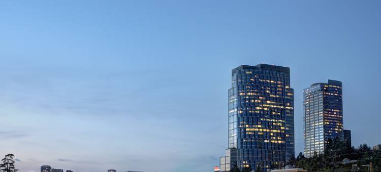 洛杉矶世纪城/比佛利山庄万怡酒店(Courtyard Los Angeles Century City/Beverly Hills)图片