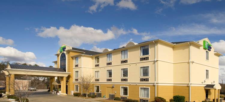 智选假日套房酒店芒特普莱森特(Holiday Inn Express & Suites Mount Pleasant)图片