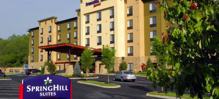 SpringHill套房鸽子谷酒店(SpringHill Suites Pigeon Forge)图片