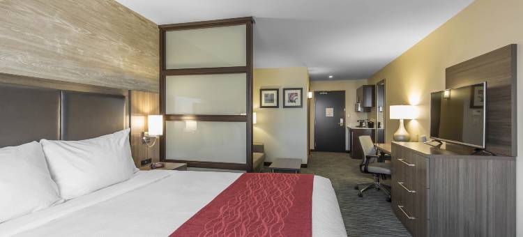 舒适酒店及套房-机场北(Comfort Inn & Suites Airport North)图片