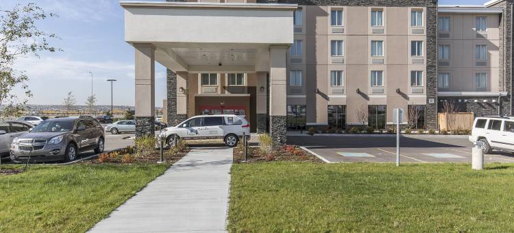 舒适酒店及套房-机场北(Comfort Inn & Suites Airport North)图片