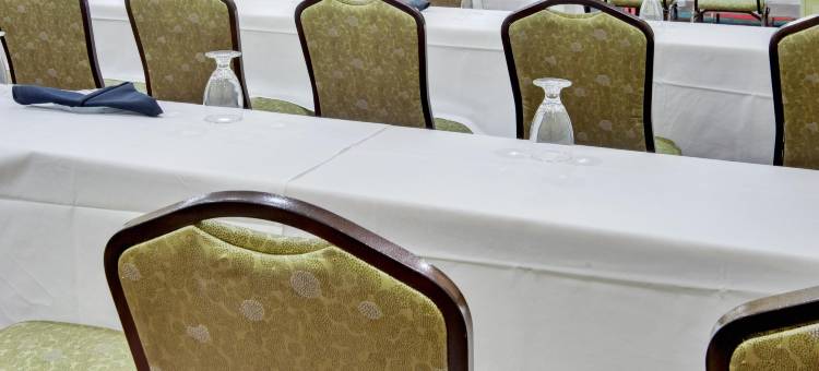 阿纳海姆假日套房酒店(Holiday Inn & Suites Anaheim (1 Blk/Disneyland®))图片