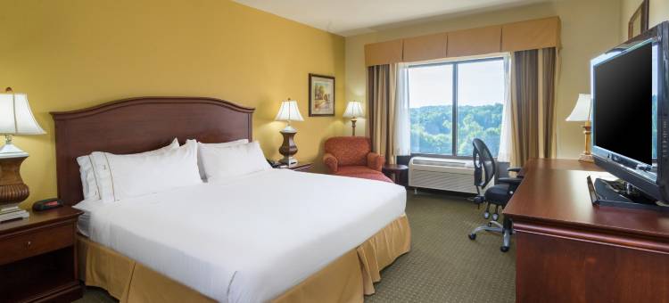 智选假日套房酒店列克星敦的NW -葡萄园(Holiday Inn Express & Suites Lexington NW-The Vineyard)图片