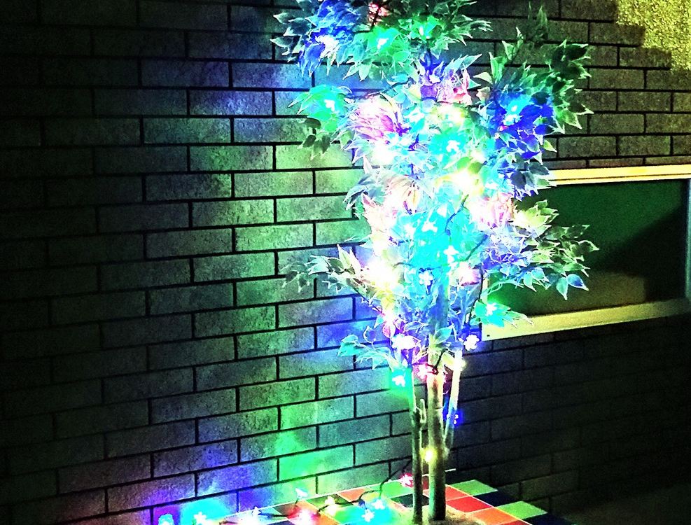 Brighton court ryokan japan