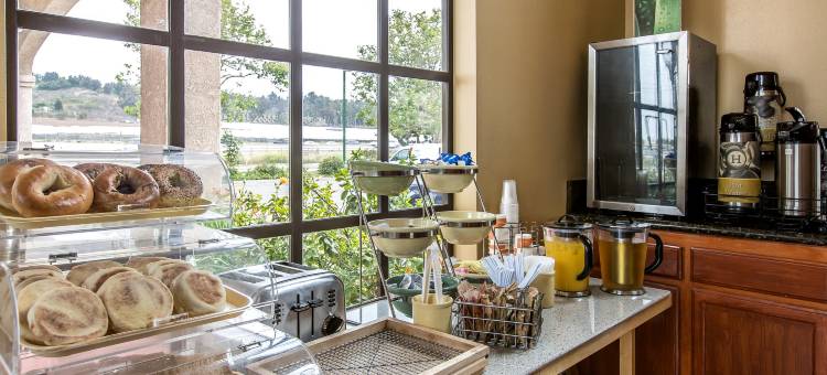 卡马里奥-奥克斯纳德凯艺套房酒店(Quality Inn & Suites Camarillo-Oxnard)图片