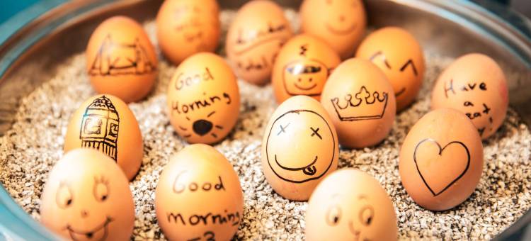 伦敦塔山一号汽车旅馆(Motel One London-Tower Hill)图片