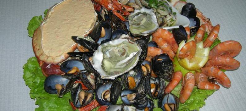 Recomeçar 招待所(Hospedaria Recomeçar)图片