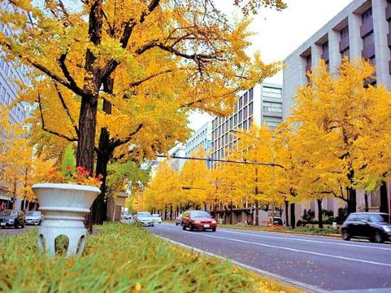 大阪堺筋本町吳竹旅館
