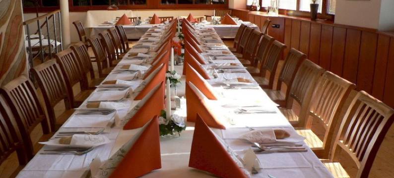 霍斯提维茨运动酒店(Sporthotel Hostivice)图片